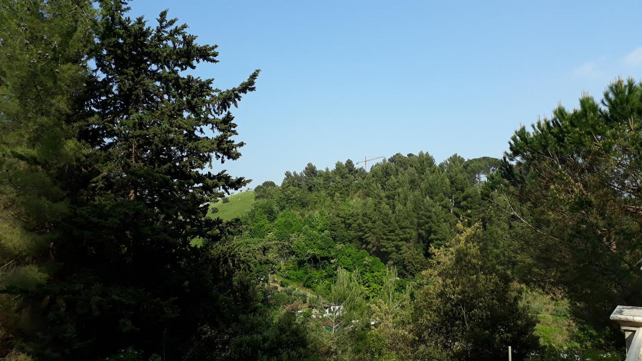 Bed and Breakfast Parco Dei Gelsomini à Ascoli Piceno Extérieur photo